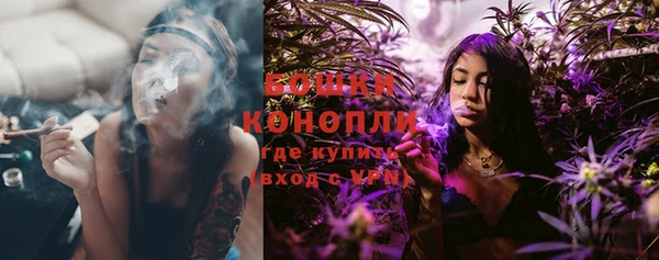 PSILOCYBIN Пестово